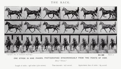 Eadweard Muybridge: O Rack (foto a p/b) de Eadweard Muybridge