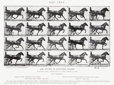 Eadweard Muybridge: O Trote (foto a p/b) de Eadweard Muybridge