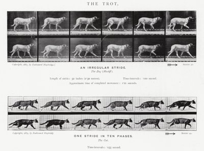 Eadweard Muybridge: O Trote (foto a p/b) de Eadweard Muybridge
