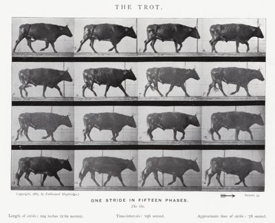 Eadweard Muybridge: O Trote (foto a p/b) de Eadweard Muybridge