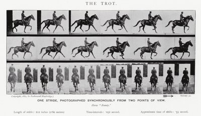 Eadweard Muybridge: O Trote (foto a p/b) de Eadweard Muybridge