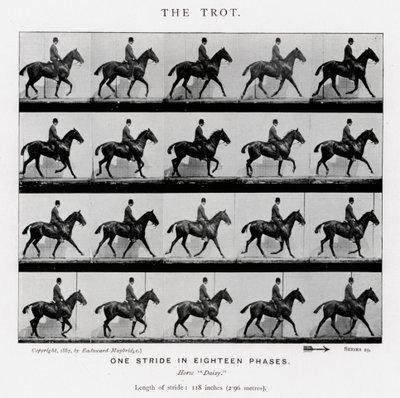 Eadweard Muybridge: o trote de Eadweard Muybridge