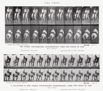 Eadweard Muybridge: o trote de Eadweard Muybridge