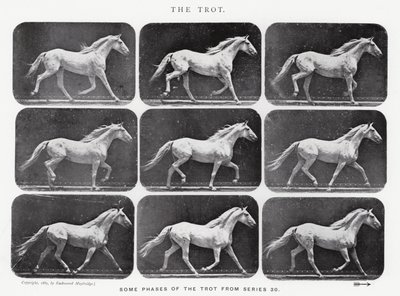 Eadweard Muybridge: o trote de Eadweard Muybridge
