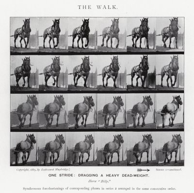Eadweard Muybridge: A Caminhada (foto a p/b) de Eadweard Muybridge