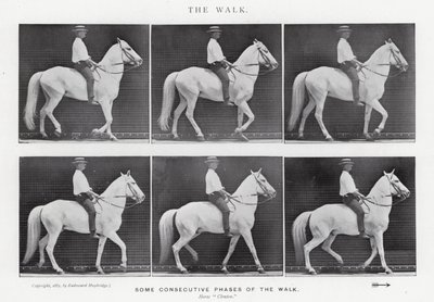 Eadweard Muybridge: A Caminhada (foto a p/b) de Eadweard Muybridge