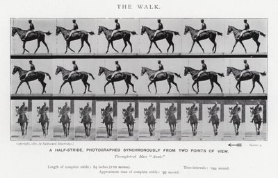 Eadweard Muybridge: A Caminhada (foto a p/b) de Eadweard Muybridge
