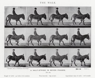 Eadweard Muybridge: A Caminhada (foto a p/b) de Eadweard Muybridge