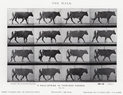 Eadweard Muybridge: A Caminhada (foto a p/b) de Eadweard Muybridge