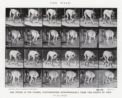 Eadweard Muybridge: A Caminhada (foto a p/b) de Eadweard Muybridge