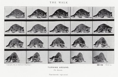 Eadweard Muybridge: A Caminhada (foto a p/b) de Eadweard Muybridge