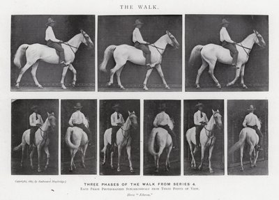 Eadweard Muybridge: A Caminhada (foto a p/b) de Eadweard Muybridge