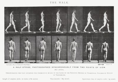 Eadweard Muybridge: A Caminhada (foto a p/b) de Eadweard Muybridge