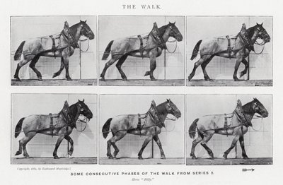 Eadweard Muybridge: A Caminhada (foto a p/b) de Eadweard Muybridge