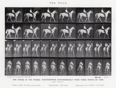 Eadweard Muybridge: A Caminhada (foto a p/b) de Eadweard Muybridge
