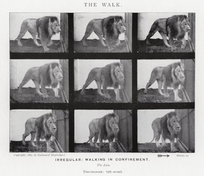 Eadweard Muybridge: A Caminhada (foto a p/b) de Eadweard Muybridge