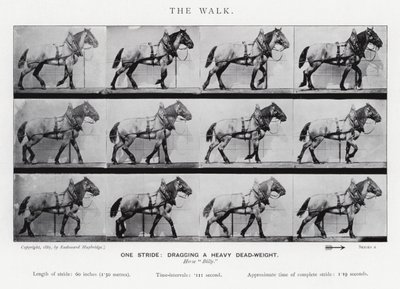 Eadweard Muybridge: The Walk de Eadweard Muybridge