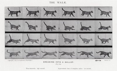 Eadweard Muybridge: The Walk de Eadweard Muybridge