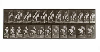 Cavalo galopando com cavaleiro, placa 635 de animal locomoção, 1887 de Eadweard Muybridge