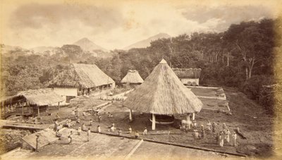 Hacienda William Nelson, San Isidro, Guatemala de Eadweard Muybridge