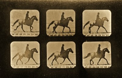 Cavalos. Irregular, série &39;Animal Locomotion&39;, c.1881 de Eadweard Muybridge