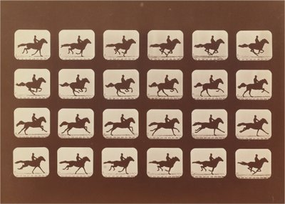 Cavalos. Corrida. Phyrne L. No. 40 de Eadweard Muybridge