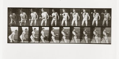 Homem, levantamento, um, dumbbell, prato, 324, de, animal, locomotion, 1887 de Eadweard Muybridge