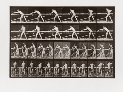 Homem, aplanar, madeira, prato, 379, animal, locomotion, 1887 de Eadweard Muybridge