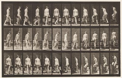 Ilustração 104. Escadas Giratórias e Ascendentes, Balde de Água em Cada Mão, 1872-1885 de Eadweard Muybridge
