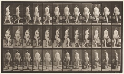 Placa 106. Virando Escada Ascendente, Balde de Água em Cada Mão, 1872-1885 de Eadweard Muybridge