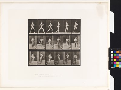 Placa 10. Caminhada de Eadweard Muybridge