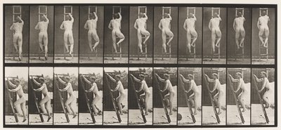 Placa 111. Escada ascendente de Eadweard Muybridge