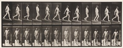 Placa 113. Inclinação Decrescente, 1 em 4, 1872-1885 de Eadweard Muybridge