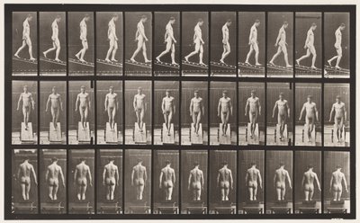 Placa 114. Inclinação Decrescente, Ângulo 1 em 4, 1872-1885 de Eadweard Muybridge