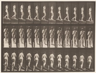 Placa 116. Inclinação Descendente, Uma Mão no Queixo de Eadweard Muybridge
