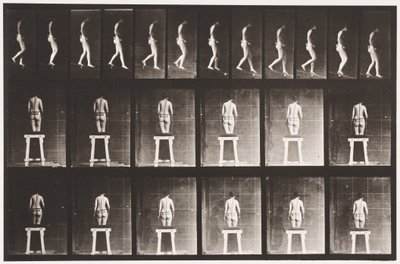 Placa 118. Inclinação Descendente de Eadweard Muybridge