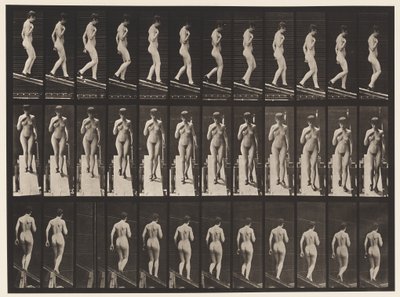 Placa 119. Inclinação descendente, mão direita no peito (sapatos) de Eadweard Muybridge