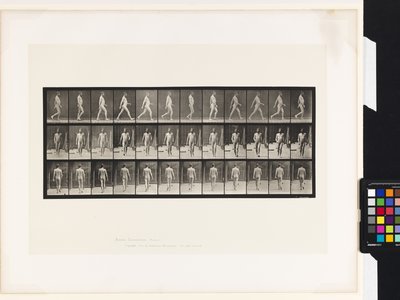 Prato 11.Caminhada de Eadweard Muybridge