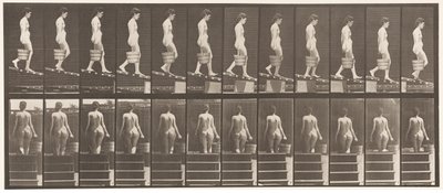 Prato 120. Inclinação Decrescente, Balde de Água na Mão Direita, 1872-1885 de Eadweard Muybridge