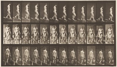 Placa 121. Inclinação Descendente, Balde de Água em Cada Mão de Eadweard Muybridge