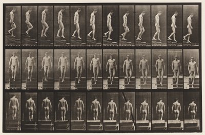 Placa 125. Escadas descendentes de Eadweard Muybridge