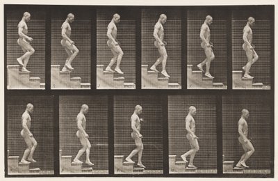 Placa 126. Escadas descendentes de Eadweard Muybridge