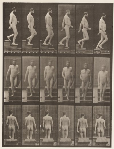 Placa 127. Escadas Descendentes, 1872-1885 de Eadweard Muybridge
