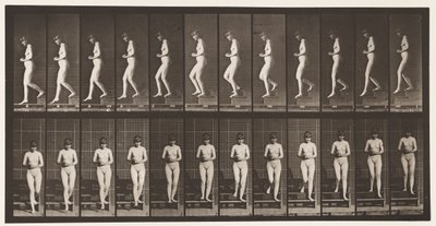 Placa 128. Escadas Descendentes, Mãos Entrelaçadas, 1872-1885 de Eadweard Muybridge