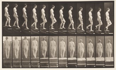 Placa 129. Escadas descendentes, mãos postas de Eadweard Muybridge