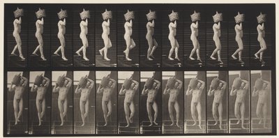 Placa 136. Escadas Descendente Demijohn Completo no Ombro, 1872-1885 de Eadweard Muybridge