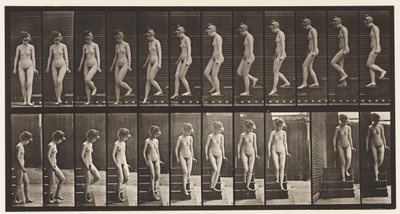 Placa 137. Escadas descendentes, virando-se de Eadweard Muybridge
