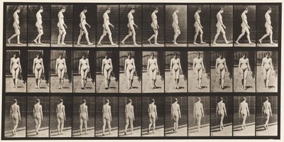 Placa 13. Caminhada, 1872-1885 de Eadweard Muybridge