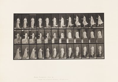 Placa 143. Inclinação Descendente, Taça Giratória e Pires na Mão Direita de Eadweard Muybridge
