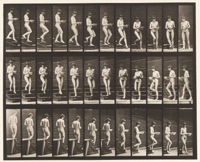 Placa 144. Escada Descendente; Bacia Giratória em Mãos de Eadweard Muybridge